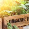 Living The Organic Life But On A Budget!
