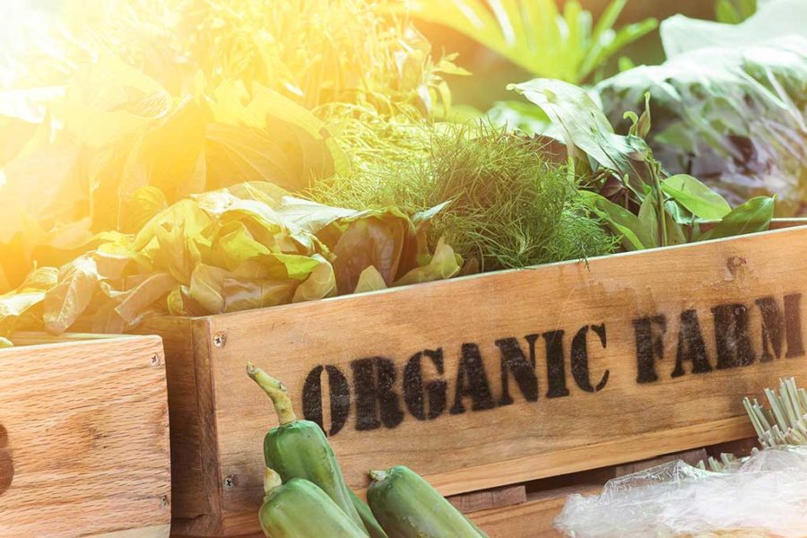 Living The Organic Life But On A Budget!