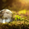 Going Organic: How it benefits the Environment