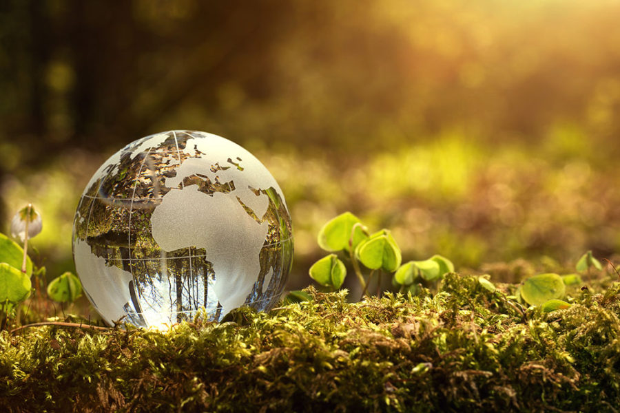 Going Organic: How it benefits the Environment