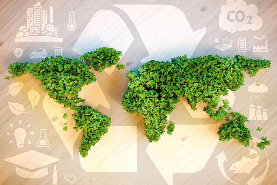 Going Organic? Here’s How to Start an Organic Lifestyle